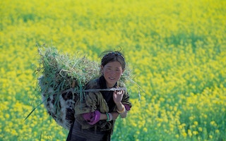 Woman_Basket_China