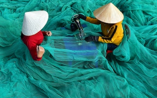 Net_Vietnam