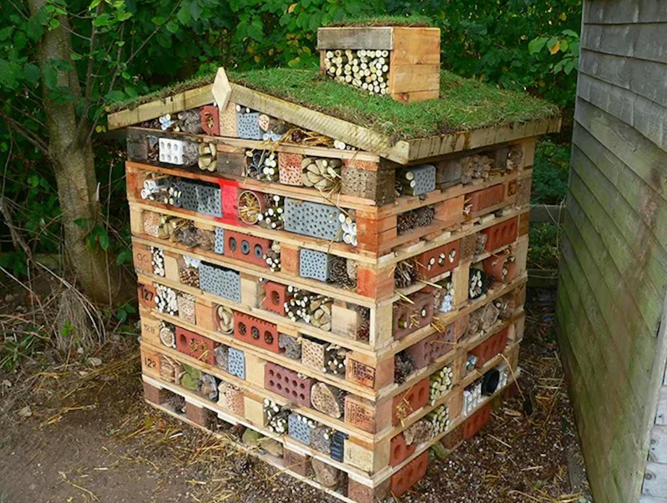 bee hotel